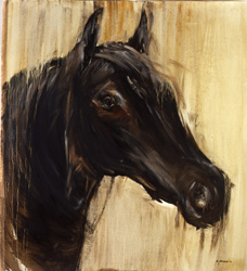 cavallo, dipinto di Paola